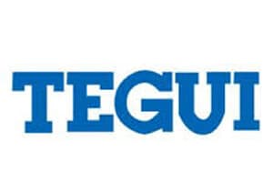 Logo de Tegui